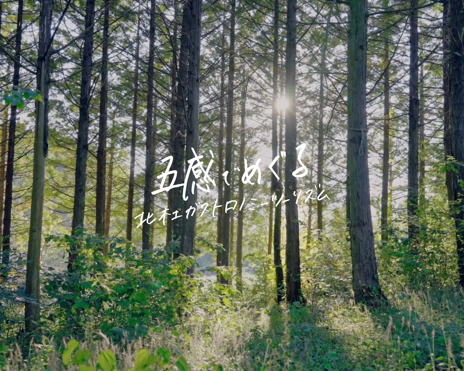 北杜east field design System